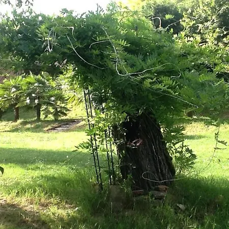 La Fermette Des Grains Dores בית נופש