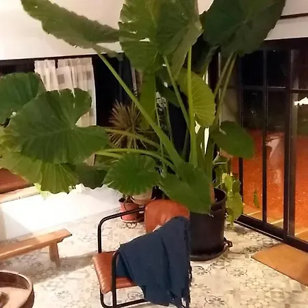 בית נופש La Fermette Des Grains Dores *